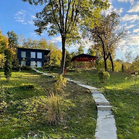Casa De Pe Un Deal-Provita De Sus-Prahova Exteriör bild