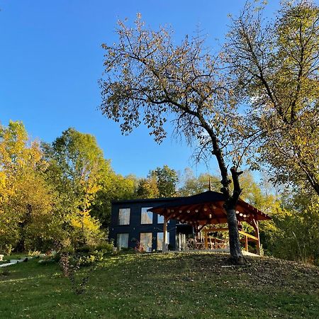 Casa De Pe Un Deal-Provita De Sus-Prahova Exteriör bild
