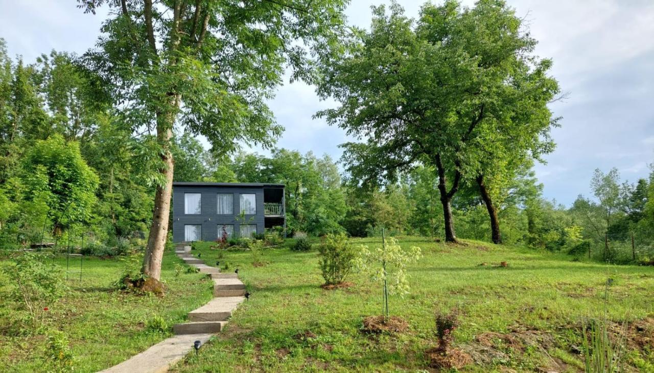 Casa De Pe Un Deal-Provita De Sus-Prahova Exteriör bild